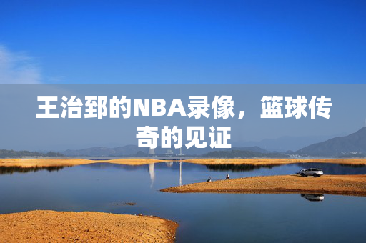 王治郅的NBA录像，篮球传奇的见证