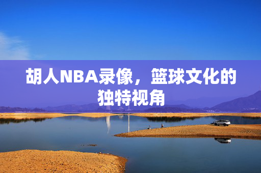 胡人NBA录像,篮球文化的独特视角