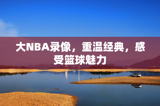 大NBA录像，重温经典，感受篮球魅力