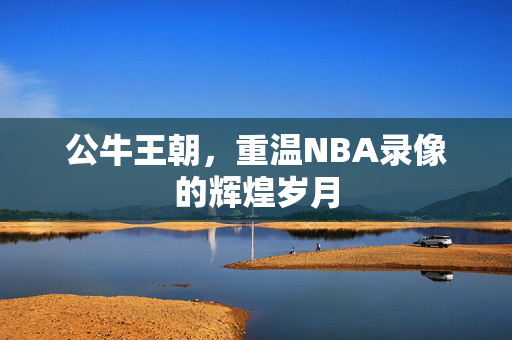 公牛王朝,重温NBA录像的辉煌岁月