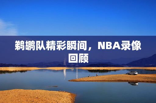 鹈鹕队精彩瞬间,NBA录像回顾