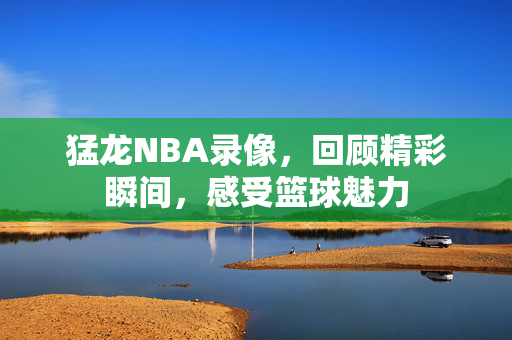 猛龙NBA录像,回顾精彩瞬间,感受篮球魅力