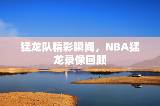 猛龙队精彩瞬间,NBA猛龙录像回顾