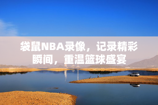 袋鼠NBA录像,记录精彩瞬间,重温篮球盛宴